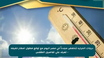 درجات الحرارة تنخفض مجدداً في مصر اليوم مع توقع هطول أمطار خفيفة – تعرف على تفاصيل الطقس